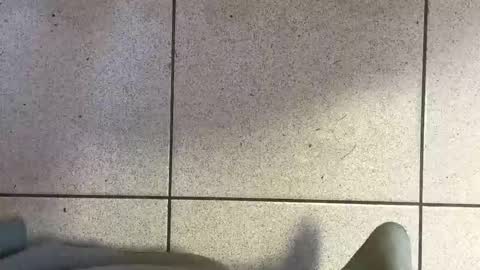 webchatter99 online show from 03.29.26