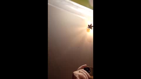 webiran online show from 03.02.26