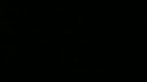 Snapshot of weeskank chatting on 10.05.25 weeskank online show from 10.05.25