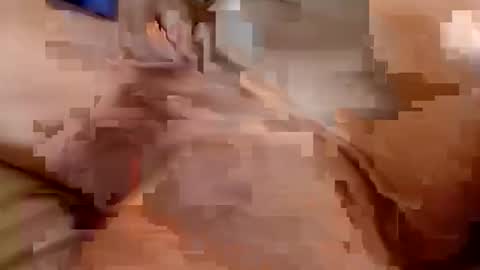 welldny online show from 10.25.25