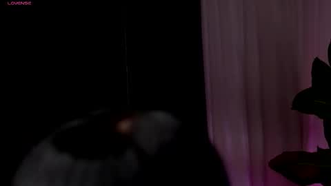 Wendy online show from 02.13.26