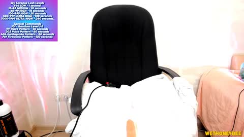 Snapshot of wethoneybee chatting on 02.03.25 Mina online show from 02.03.25