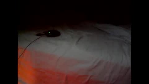 Snapshot of wgefwdtfvnlx chatting on 02.25.26 wgefwdtfvnlx online show from 02.25.26