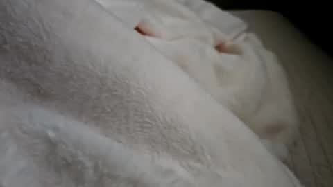 Snapshot of what_whaaat chatting on 09.21.25 what_whaaat online show from 09.21.25