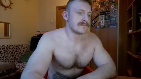 WhiteBull online show from 02.08.26