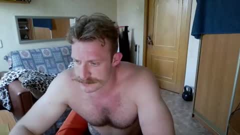 WhiteBull online show from 06.30.26