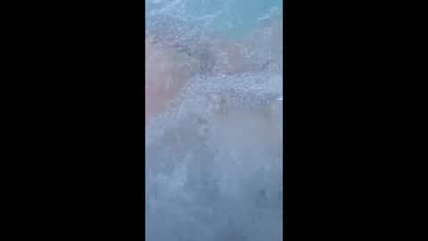 whiteoak19522 online show from 03.29.26