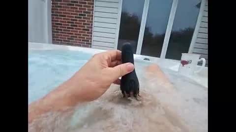 whiteoak19522 online show from 04.18.26