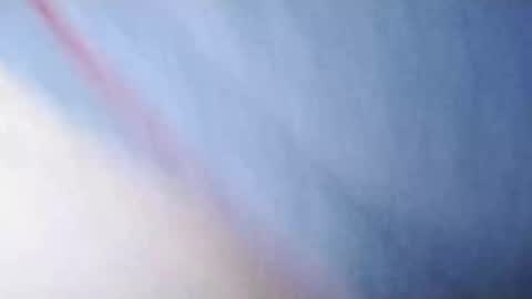 Whitezilla20cm online show from 12.06.24