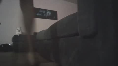 whosten0 online show from 12.01.25