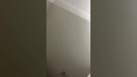 whynotlmk online show from 02.21.26