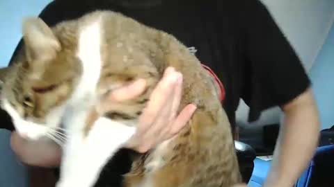 Tommy online show from 12.30.24