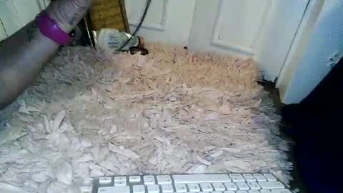 Wifeonly online show from 07.11.26