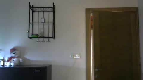 Snapshot of wild_silk_desire chatting on 02.28.25 Alina online show from 02.28.25