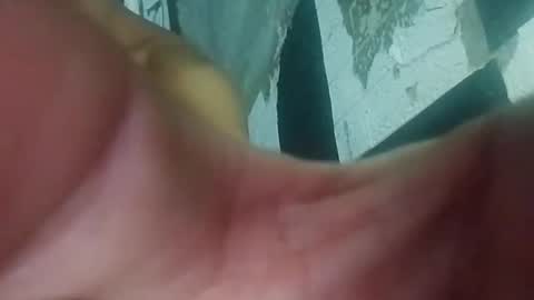 wildasshole123 online show from 11.29.25