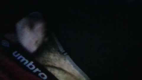 Snapshot of wildealexyz chatting on 10.17.25 WildeAlex online show from 10.17.25