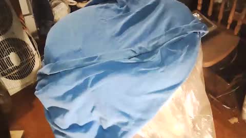 wildman6 online show from 01.10.26