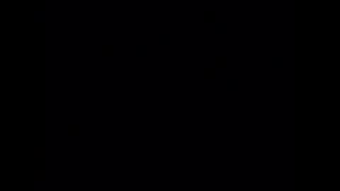 wiley0520 online show from 03.03.26