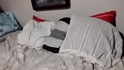 willfast online show from 10.07.25