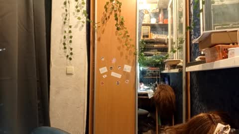 Phoebe online show from 02.11.26