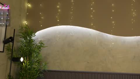 Ms Willow online show from 01.14.26