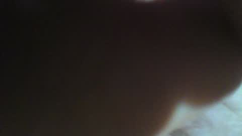 Willy Stroker online show from 01.12.25