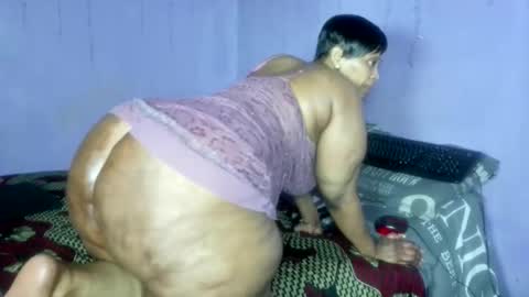 wilmaassylum online show from 11.30.25