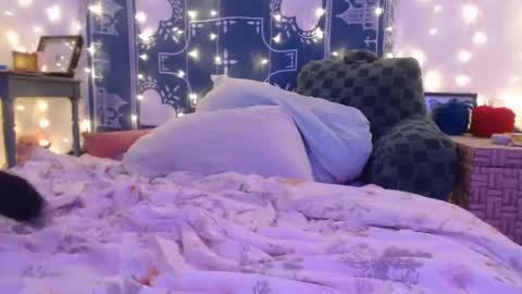 Eevie online show from 12.19.24