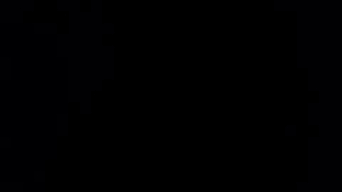 wishwood2323x online show from 04.23.26