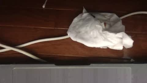 Sultan Blaze online show from 02.19.26