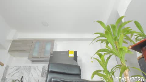 rebekah online show from 03.25.26