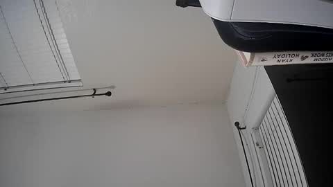 WoodCouldShould86 online show from 01.15.26