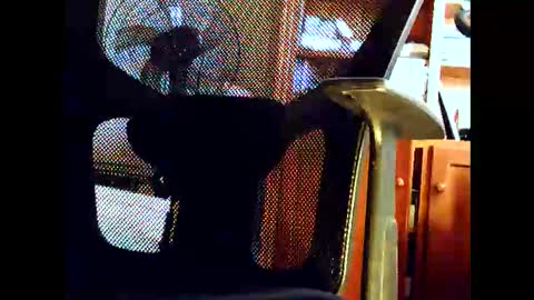 woodyforyou2 online show from 01.19.26