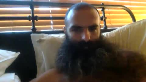 woof_wolf37 online show from 02.07.26