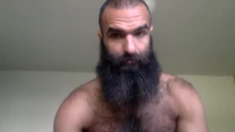 woof_wolf37 online show from 04.03.26