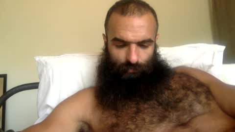 woof_wolf37 online show from 04.06.26