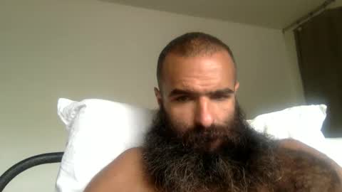 woof_wolf37 online show from 05.08.26
