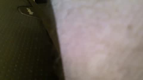 Snapshot of wrangleat0r chatting on 01.11.26 wrangleat0r online show from 01.11.26