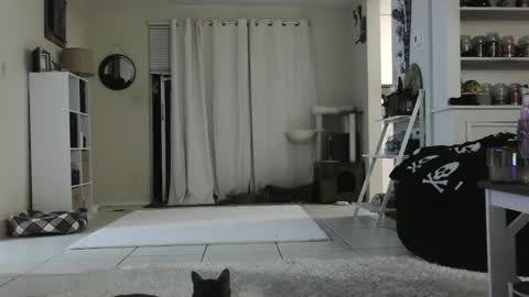 Crystal Lake online show from 12.26.24