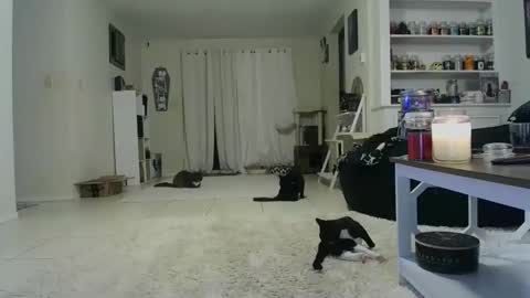 Crystal Lake online show from 10.19.25