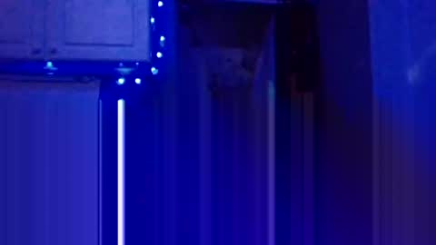 BONER DONOR online show from 01.05.25