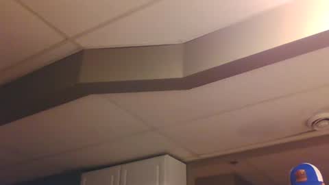 BONER DONOR online show from 01.07.25