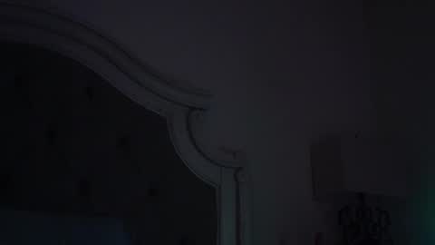 Snapshot of x_dreamgirl_x chatting on 12.14.24 Mariah online show from 12.14.24