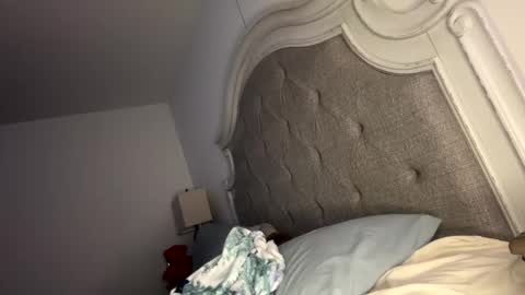 Snapshot of x_dreamgirl_x chatting on 12.20.24 Mariah online show from 12.20.24