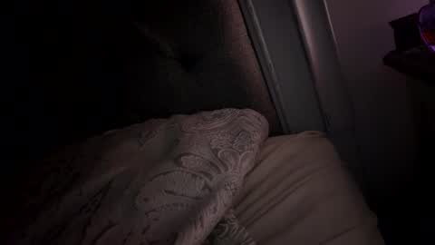 Snapshot of x_dreamgirl_x chatting on 11.26.25 Mariah online show from 11.26.25