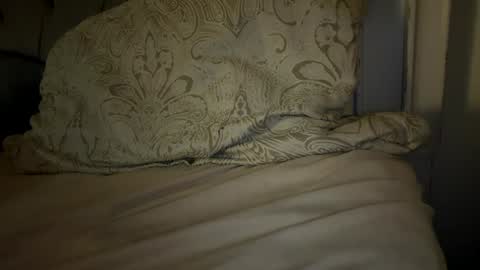 Snapshot of x_dreamgirl_x chatting on 11.29.25 Mariah online show from 11.29.25