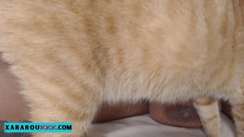 Snapshot of xararouxxx chatting on 01.13.25 S A R A 100K followers online show from 01.13.25