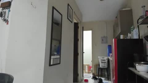 xdreamangel online show from 01.27.25