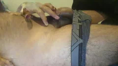 xenextra online show from 12.03.24