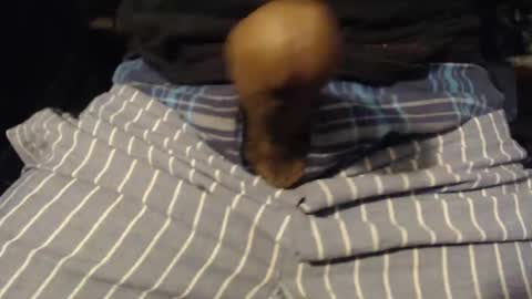 xentric777 online show from 10.31.25